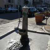 Cap d firr davanti Chiesa Santa Chiara nel centro storico
